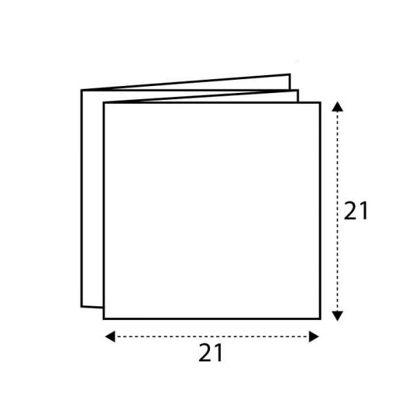 21 x 21