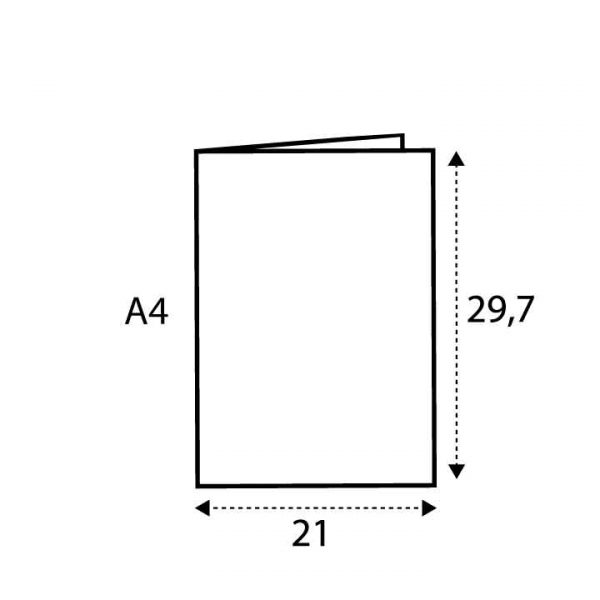 A4 (21 x 29.7)