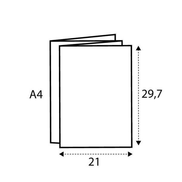 A4 (21 x 29.7)