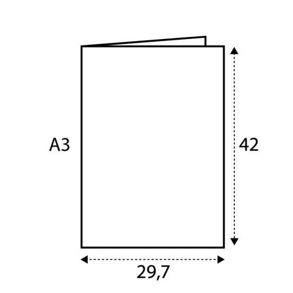 A3 (29.7 x 42)