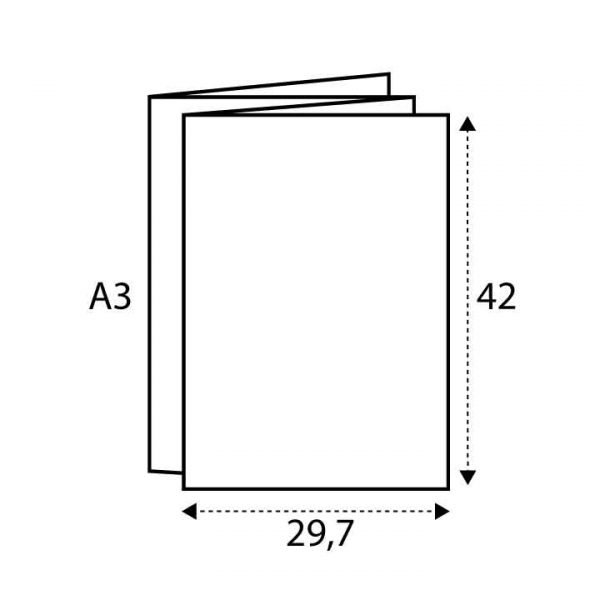 A3 (29.7 x 42)